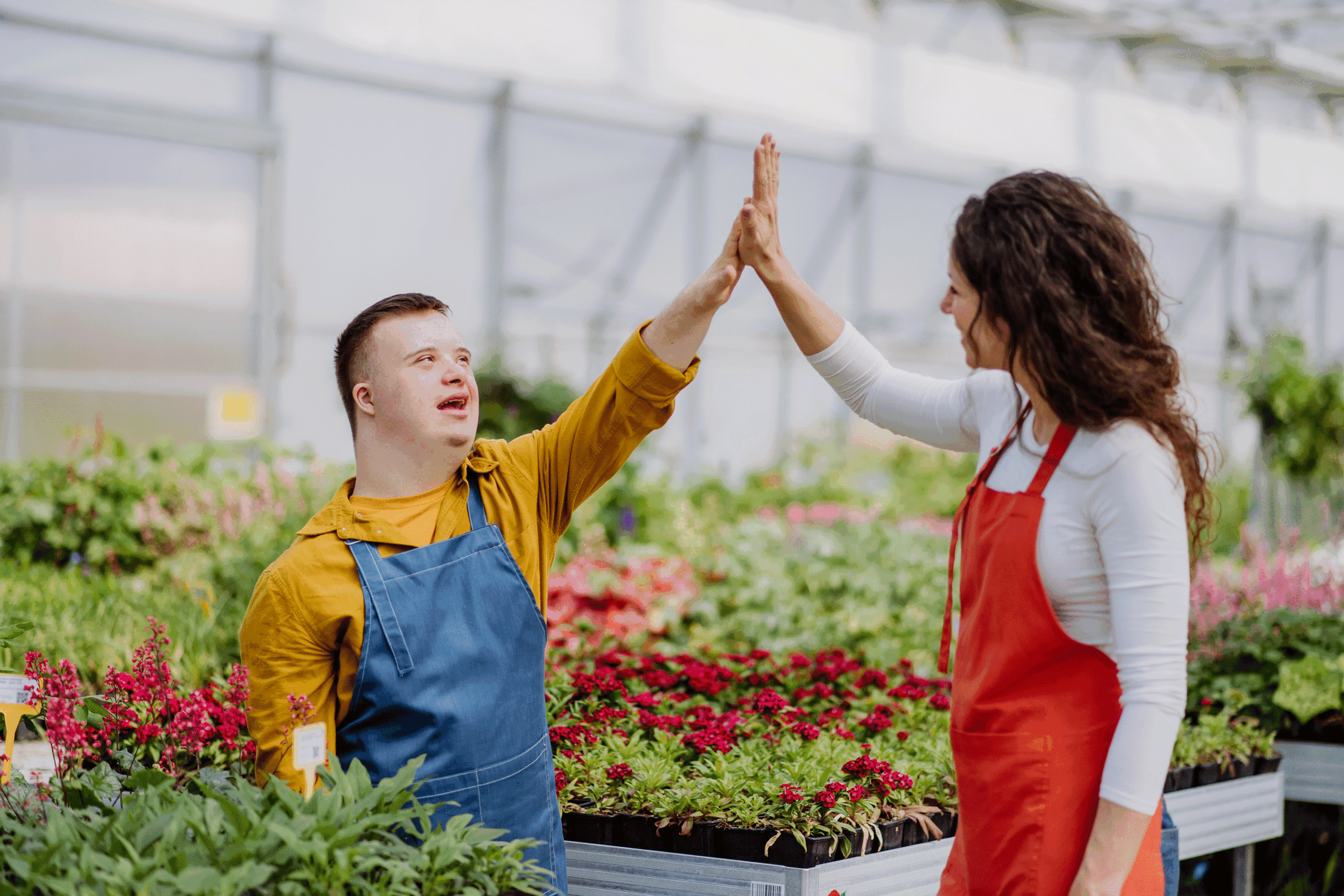 Understanding Disability Care (Part Two)